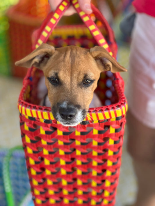 Small Burmese Basket